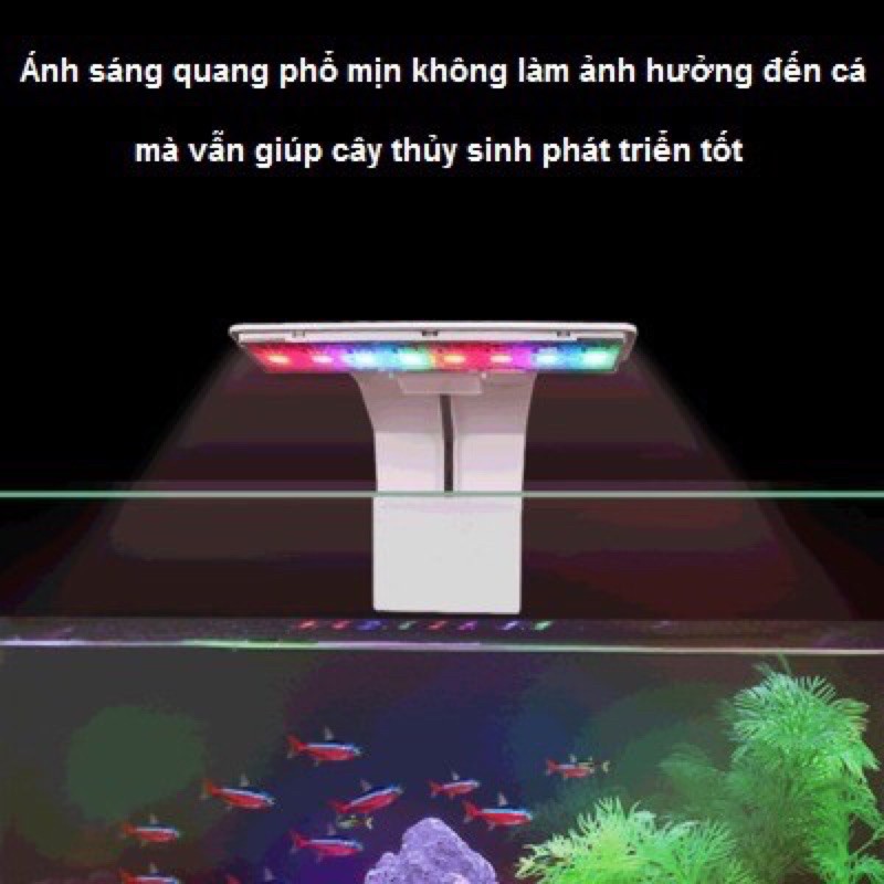 Đèn Thuỷ Sinh WGRB Cho Bể Mini - Đèn Kẹp Hồ Cá WGRB
