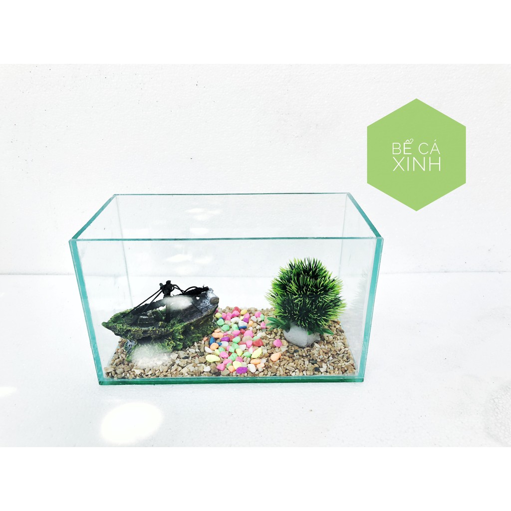 🐬 Bể cá cảnh kích thước 25x13x15cm - bể cá mini để bàn (tặng sỏi trang trí)