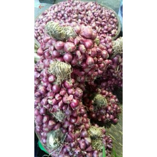 Hành tím ta đặc sản phan rang