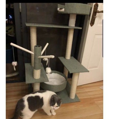 Cattree cho mèo Cat tree cho mèo nhà cây cho mèo,giảm stress thế mạng cho bộ sofa nhà bạn