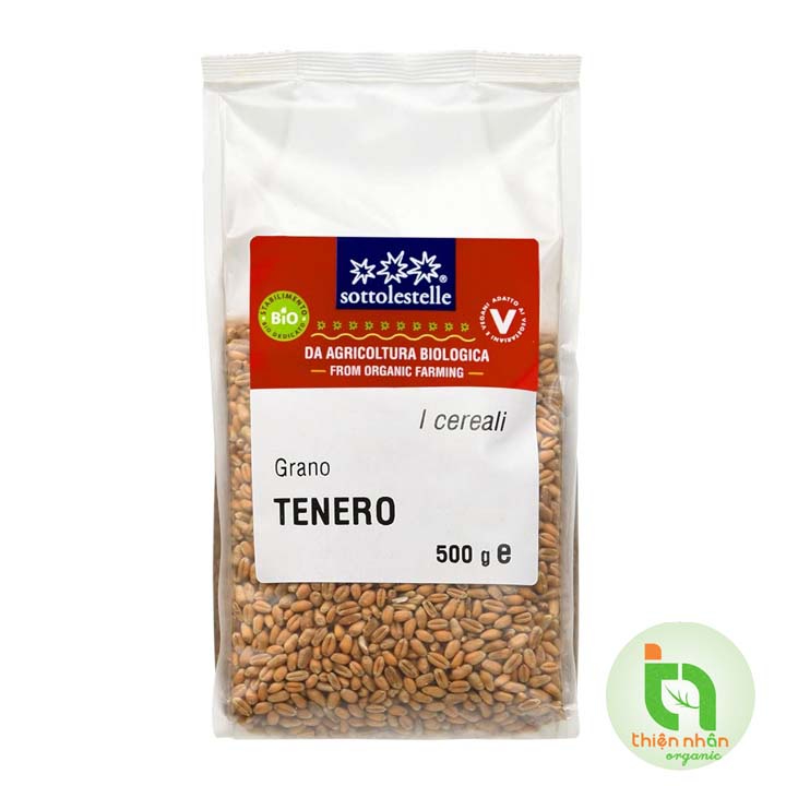 [2 loại] Hạt cỏ lúa mì hữu cơ Sottolestelle 500g và 1kg Organic Wheatgrass Seeds