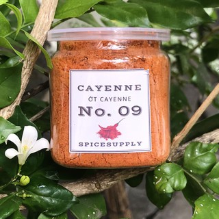 Cayenne powder - Bột ớt Siêu cay mịn Hũ 120ml