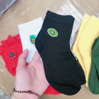 tất cổ cao quả bơ RẺ SET 5 ĐÔI