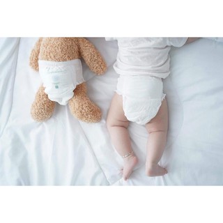 BỈM DÁN/ QUẦN NATEEN NỘI ĐỊA BỈ SIÊU MỀM MỎNG SIZE S56/M48/L44/L54/XL48/XXL42