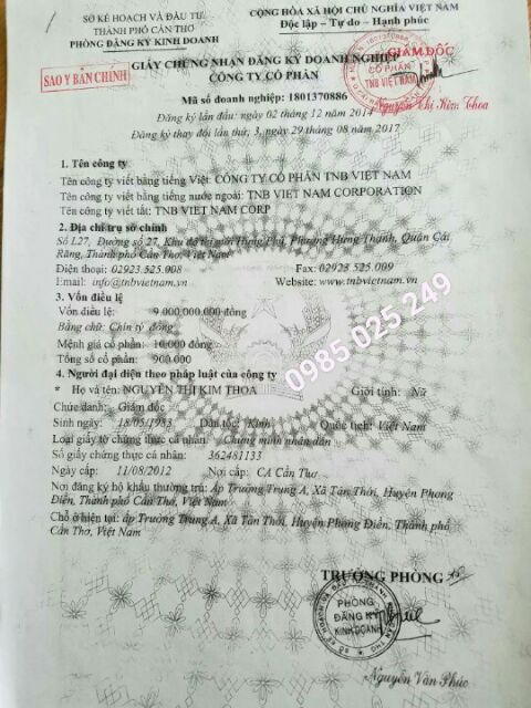 TRÀ TÚI LỌC KHỔ QUA RỪNG MUDARU | BigBuy360 - bigbuy360.vn