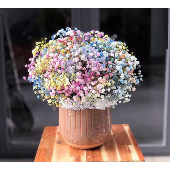 Hoa Baby Khô Nhập Khẩu Cành Nhỏ Xinh - Quà Tặng Hoa Khô, Decor Trang Trí