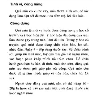 Hạt ngò - Hạt mùi 200g (Thực Thảo)