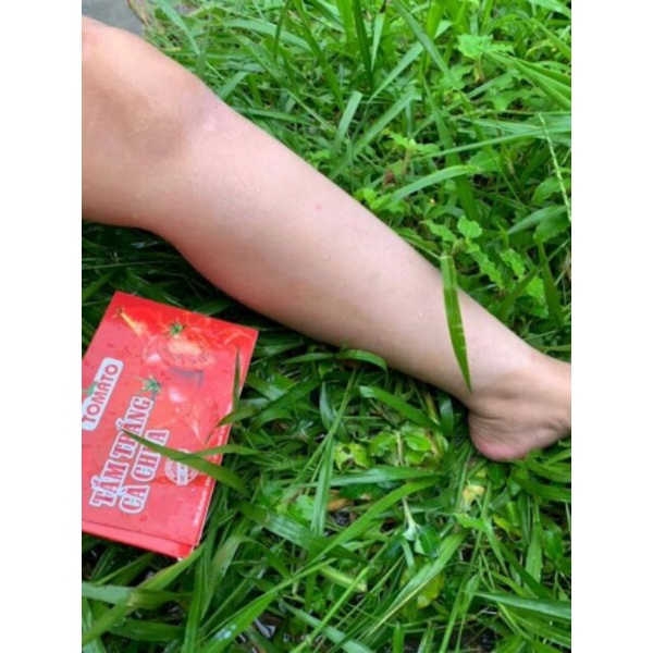 Tắm Trắng Cà Chua, Ủ Trắng Da TOMATO Hoàn Toàn Từ Thiên Nhiên Hàng Chính Hãng | BigBuy360 - bigbuy360.vn