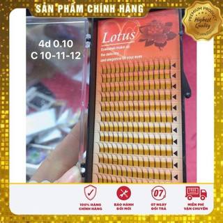 mi cong tự nhên 3 d và 4d