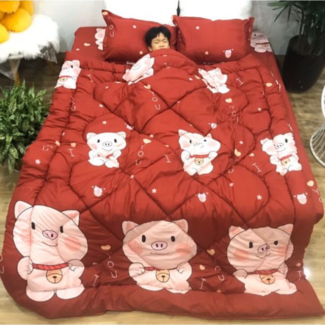 (Siêu rẻ) bộ ga gối chăn phao cotton poly 5 món