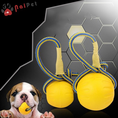 Đồ Chơi Bóng Dây Nổi Dưới Nước DCTC014