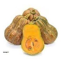 Hạt_Giống_Bí_Cô_Tiên 15 hạt ( tặng kèm kích mầm và phân bón )