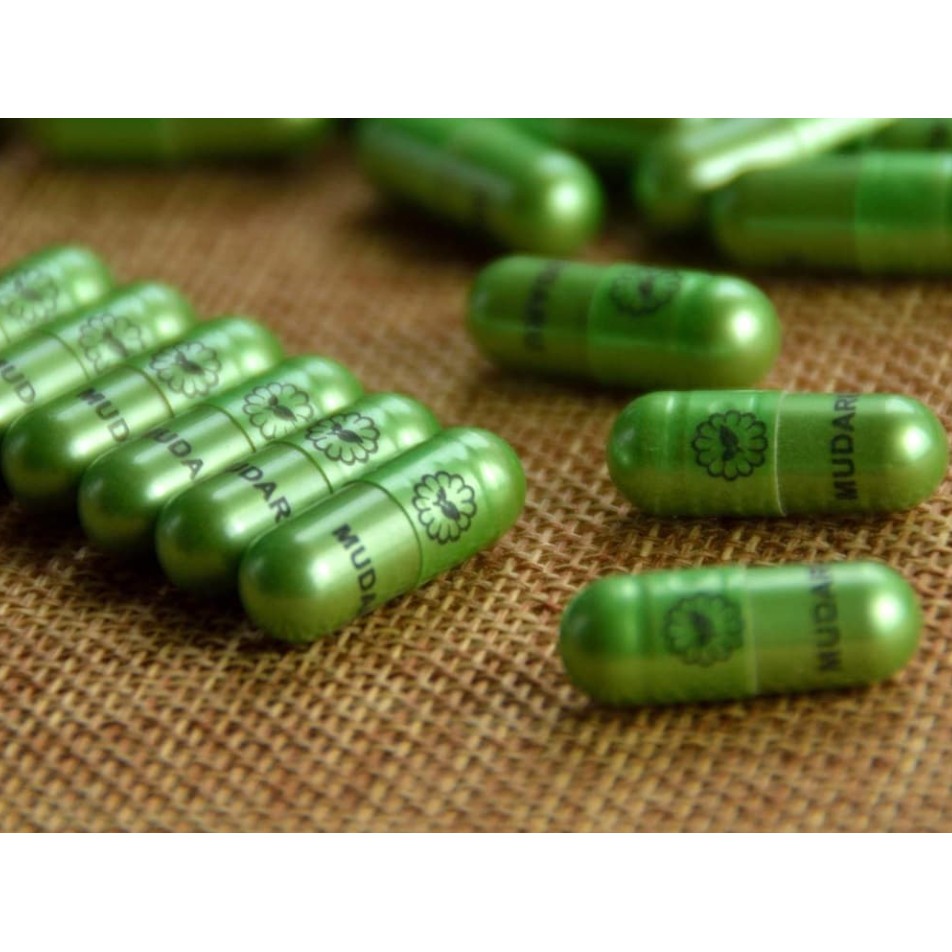VIÊN UỐNG KHỔ QUA RỪNG MUDARU HỘP 90 Viên (야생여주 캡슐 90정) | BigBuy360 - bigbuy360.vn