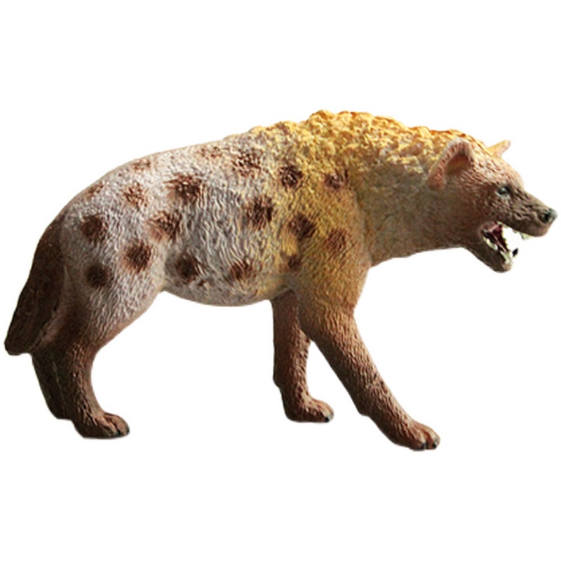 Boys and Girls Gifts Children's Simulation Zoo Model Toys Solid Animal World African Spotted Hyena Coyote Dog
