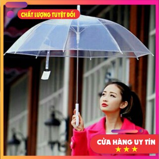 Ô TRONG SUỐT CÁN DÀI CÓ TAY CẦM