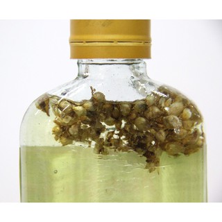 Tinh dầu tràm hoa nén đặc biệt 100ml