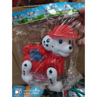 Chó Cứu Hộ Dắt Bin
