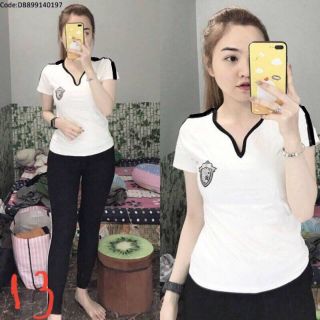 Coton 4 chiêu