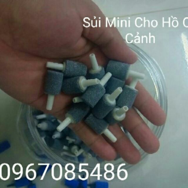 Sủi mịn cho hồ cá cảnh