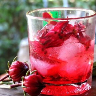 Hạt giống hoa atiso đỏ Thái Lan