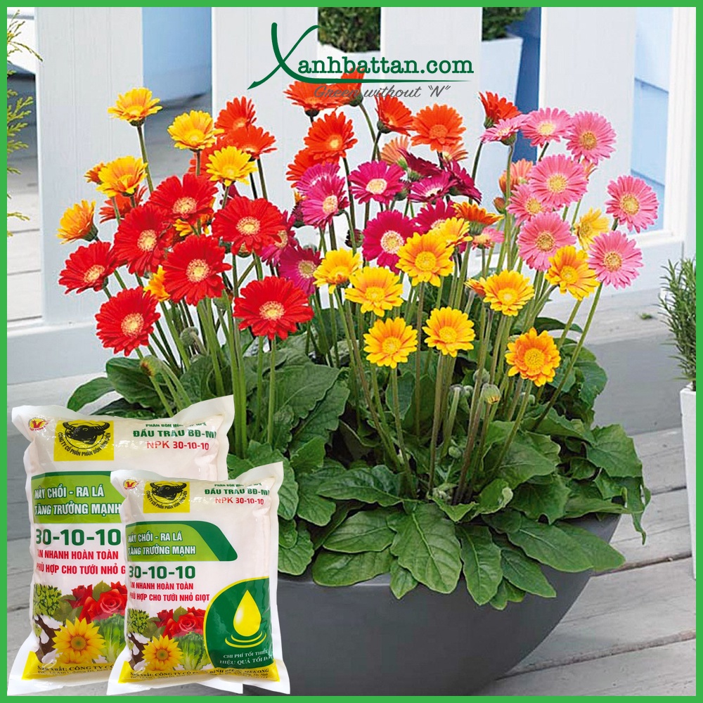 Phân Bón Đầu Trâu NPK 30-10-10 Kích Chồi, Ra Lá 1 Kg