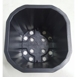 Chậu vuông 11x10 đen (Set 100 cái).