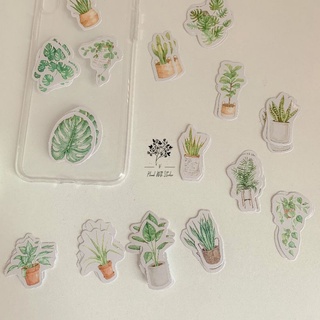 ST025 - STICKER HOẠ TIẾT CÂY CỐI