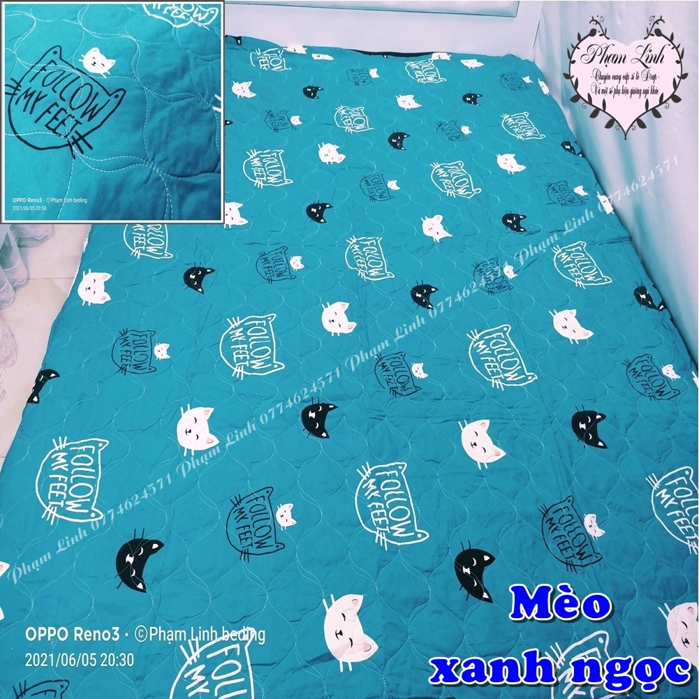 [Mền hè] Chăn cotton poly chần bông sử dụng được 2 mặt [size 1m6x2m]