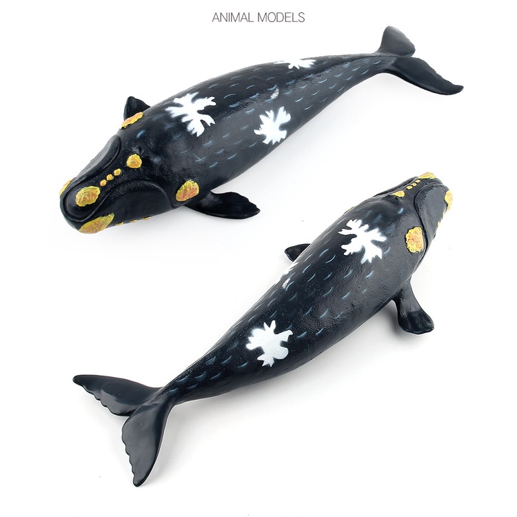 Mô Hình Cá Voi Bằng Cao Su cotton Mềm Kích Thước Lớn Cho Bé