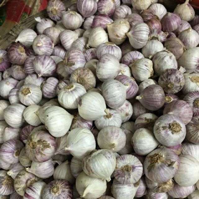 Tỏi cô đơn 1kg /100k