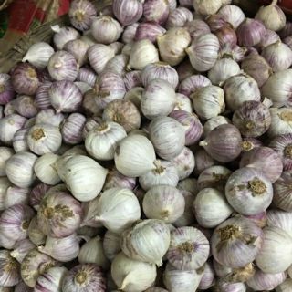 Tỏi cô đơn 1kg /100k