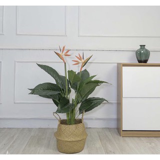 Cây thiên điểu 1m - cây giả decor