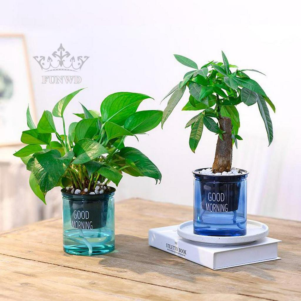 2 Chậu Trong Suốt Tự Tưới Nước Cho Cây Trong Nhà