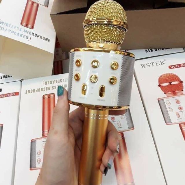 Mic hát karaoke