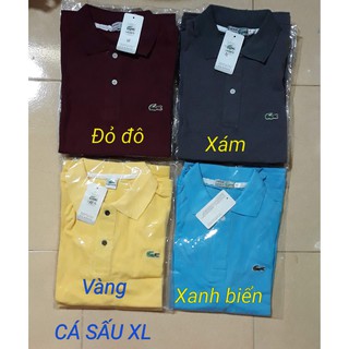 ÁO THUN NAM (SIZE XL)