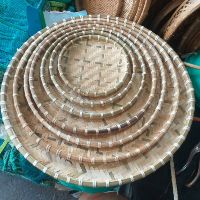 MÂY TRE HƯơNG LÊ