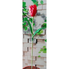 Hoa tulip đất sét