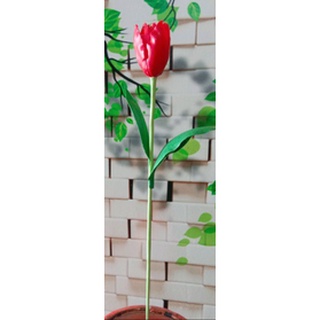 Hoa tulip đất sét