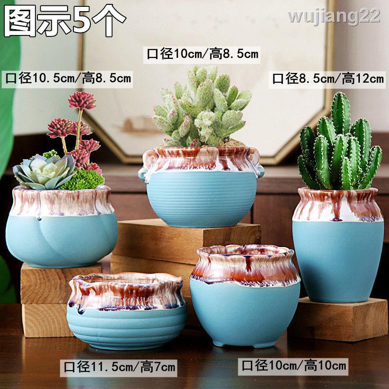 Chậu Cây Sứ Thoáng Khí Cỡ Lớn Sáng Tạo