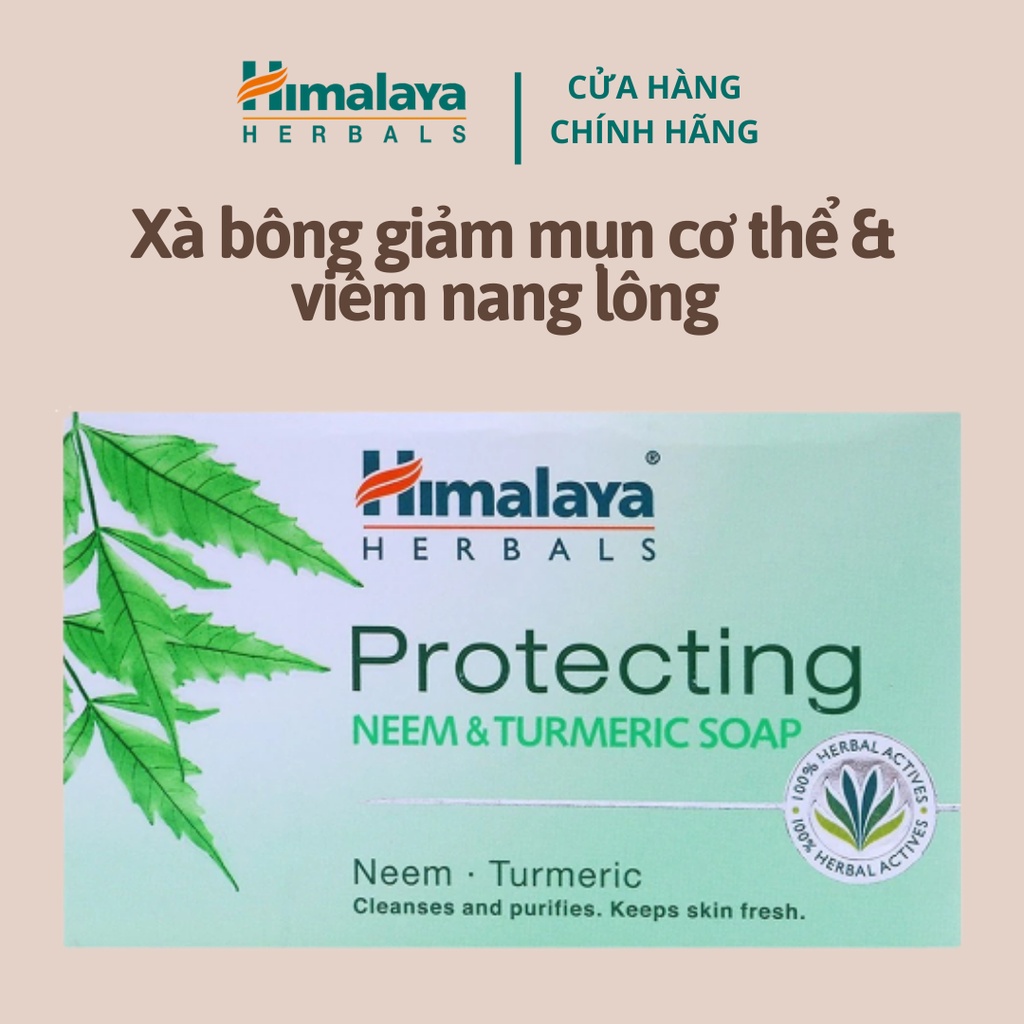 Xà phòng giảm mụn cơ thể từ lá neem Himalaya Neem Turmeric Soap 75g