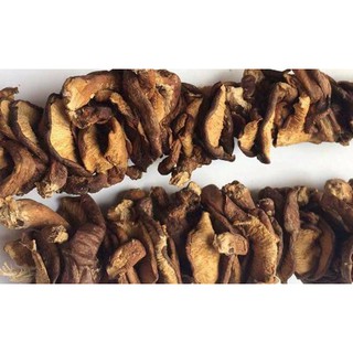 Nấm hương rừng Cao Bằng
