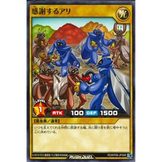Thẻ bài yugioh - ocg - rush duel - thank you ali / kp08-jp008'