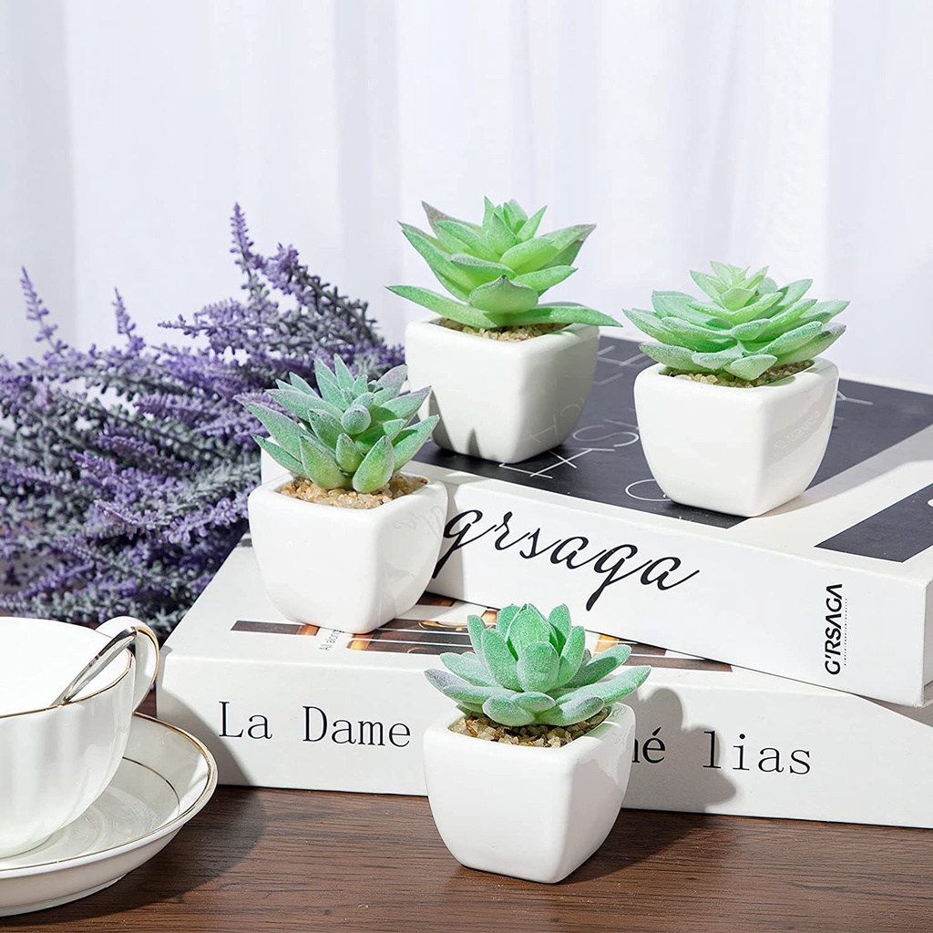 Chậu Cây Giả Mini Dễ Thương Dùng Trang Trí Bàn Làm Việc