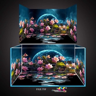 Tranh 3D dán bể cá
