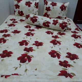 SET BỘ 5 MÓN. BỘ RA+MỀN CONTON  Thắng Lợi 1m____1m8x2m,