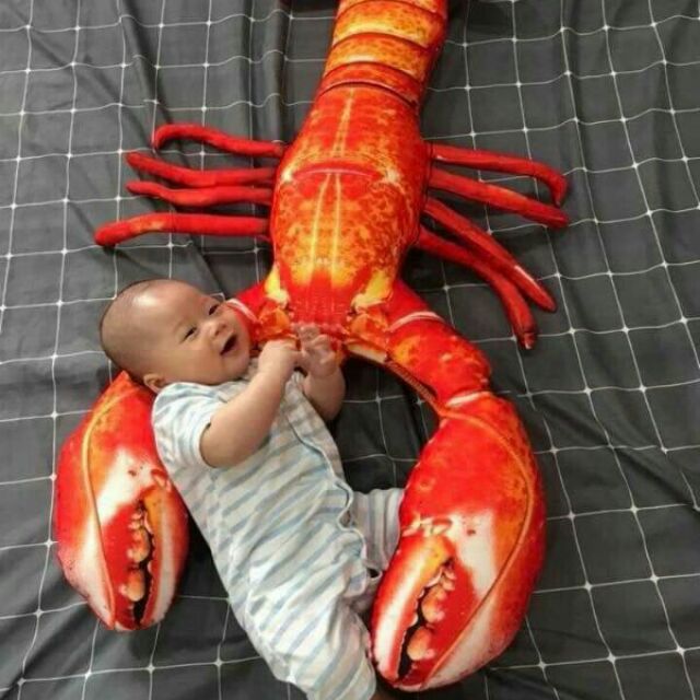 Gối ôm.3d tôm hùm 1m