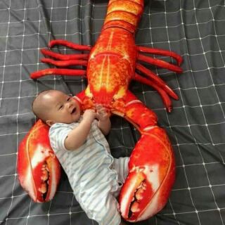 Gối ôm.3d tôm hùm 1m