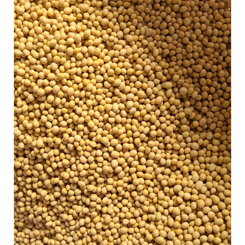 Đậu nành - đậu tương đều đẹp