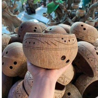 Chậu gáo dừa bộ 10
