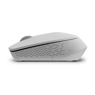 Chuột Rapoo M100